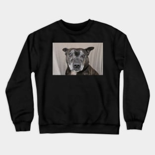 Suggs Crewneck Sweatshirt